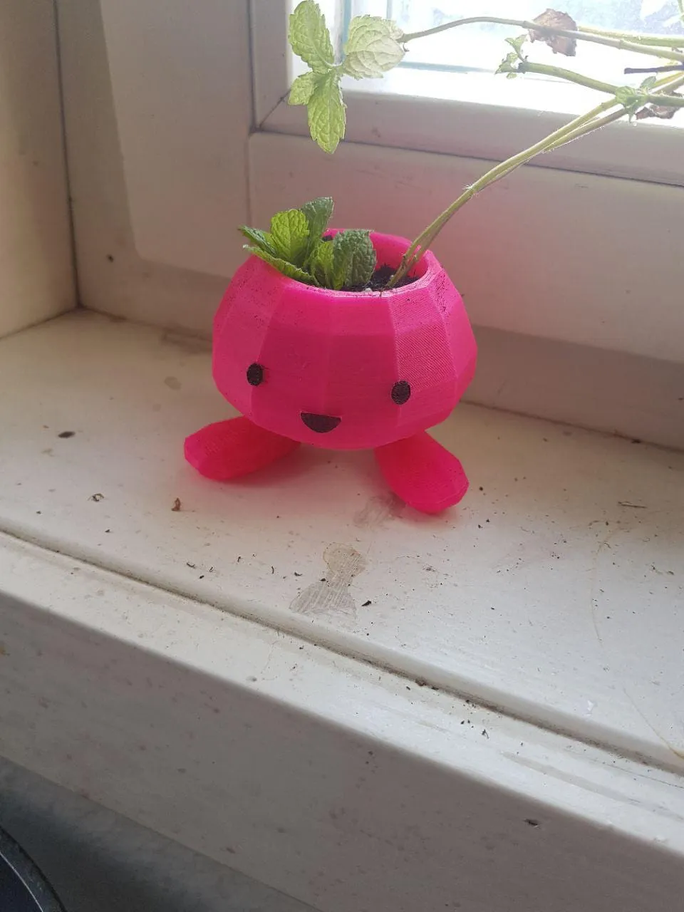 Blumentopf